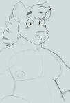 anthro belly chromawolf digital_media_(artwork) ear_piercing facial_piercing head_tuft hi_res hyena looking_at_viewer male mammal mane nipple_piercing nipples nose_piercing nose_ring overweight overweight_anthro overweight_male pecs piercing ring_piercing sketch slightly_chubby solo tuft