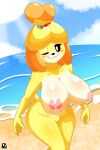absurd_res animal_crossing anthro areola beach big_breasts breasts canid canine canis cranebear day detailed_background domestic_dog female genitals hi_res isabelle_(animal_crossing) looking_at_viewer mammal nintendo nipples nude one_eye_closed outside pink_areola pink_nipples pussy sea sky smile solo water wide_hips wink winking_at_viewer