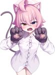  1girl absurdres ahoge animal_ear_fluff animal_ears animal_hands black_gloves blue_archive blue_eyes blush buttons cat_ears cat_paws cat_tail collared_shirt cowboy_shot fang gloves halo highres hoshino_(blue_archive) hoshino_(young)_(blue_archive) long_sleeves looking_at_viewer metaljelly open_mouth paw_gloves pink_hair pink_halo shirt short_hair solo tail white_shirt yellow_eyes 