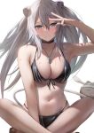  1girl absurdres animal_ear_piercing animal_ears arm_up bikini black_bikini blurry breasts closed_mouth commentary_request crossed_ankles dog_tags grey_eyes grey_hair highres hololive indian_style large_breasts lion_ears lion_girl looking_at_viewer navel partial_commentary sandals shishiro_botan sitting smile solo_focus ssrb_(shishiro_botan) stomach swimsuit tail tataki_worker virtual_youtuber w wet 