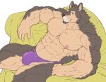 abs anthro bulge canid canine canis clothing domestic_dog fur hi_res lifewonders live_a_hero male mammal muscular muscular_anthro muscular_male nipples pecs pubraseer purple_clothing purple_underwear solo underwear vein veiny_muscles znoneikaga