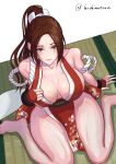  1girl :3 arm_guards barefoot breasts brown_eyes brown_hair cleavage commentary_request covered_nipples fatal_fury feet full_body high_ponytail highres hoshinatsue japanese_clothes large_breasts legs long_hair looking_at_viewer ninja pelvic_curtain ponytail revealing_clothes rope shiranui_mai sitting smash_is_for_good_boys_and_girls smile solo the_king_of_fighters thighs toes twitter_username wariza 