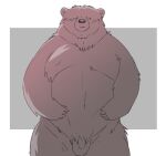 2024 anthro balls bear biped blush flaccid genitals hi_res inunoshippo kemono male mammal moobs penis simple_background slightly_chubby solo