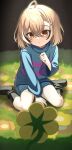  1girl aged_down ahoge alternate_costume ankle_boots arm_support bare_legs black_footwear black_socks blue_shorts blue_sweater boots brown_eyes brown_hair child cosplay crossed_bangs flower flowey_(undertale) frisk_(undertale) frisk_(undertale)_(cosplay) full_body hair_between_eyes hand_up highres hololive hololive_english kneehighs light_blush light_particles light_rays looking_at_another medium_hair multicolored_hair nanashi_mumei on_grass parted_lips shishi_cc shorts sitting socks streaked_hair striped_clothes striped_sweater sweater undertale wariza yellow_flower 