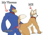  anthro avian balls bird blue_body blue_feathers canid canine canis doggystyle erection falco_lombardi feathers fox fox_mccloud from_behind_position fur genitals hi_res humanoid_genitalia humanoid_penis jrjresq male male/male mammal nintendo orange_body orange_fur penis penis_on_butt scarf sex star_fox text 