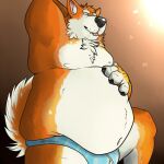 1:1 2015 akita anthro biped blep canid canine canis claws clothed clothing digital_drawing_(artwork) digital_media_(artwork) domestic_dog eyebrows finger_claws fur hand_behind_head male mammal moobs mosin multicolored_body multicolored_fur navel obese obese_anthro obese_male orange_body orange_fur overweight overweight_anthro overweight_male paws simple_background spitz standing tail thick_thighs tongue tongue_out underwear underwear_only