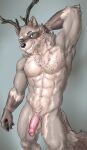 absurd_res anthro antlers blue_eyes canid canine canis chest_tattoo deeeerboi deer ear_piercing fluffy fluffy_tail genitals hi_res horn hybrid male mammal muscular muscular_male neck_tuft paul_(deeeerboi) penis piercing pose procyonid raccoon simple_background smile smirk solo tail tattoo tuft wolf