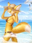  2017 agnes_(fantastic_mr._fox) amber_eyes ancesra anthro avian beach bikini bird boat canine clothed clothing cloud female fox fur hat looking_at_viewer looking_back mammal orange_fur outside rear_view seaside sky solo swimsuit vehicle water white_fur 