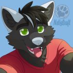  anthro canid canine canis chest_tuft clothing fur green_eyes grey_body grey_fur grey_hair hair hi_res male mammal netiscraft red_clothing red_shirt red_topwear selfie shirt solo tongue tongue_out topwear tuft wolf 