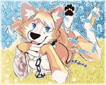  blue_eyes canine dog egohusky husky invalid_background invalid_color mammal pills satori_(artist) 