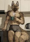 2024 anthro athletic athletic_anthro athletic_male biped brown_body brown_fur bulge canid canine canis container cup digital_media_(artwork) domestic_dog fur german_shepherd herding_dog hi_res holding_container holding_cup holding_object honovy inner_ear_fluff inside kitchen male mammal nipples pastoral_dog solo tan_body tan_fur tuft white_body white_fur white_inner_ear_fluff