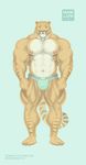  2017 abs anthro areola big_arms blue_eyes bulge clothed clothing feline hybrid hyper hyper_muscles liger mainlion male mammal markings muscular muscular_male nipples partially_clothed pecs simple_background solo stripes thick_thighs underwear veiny_muscles 