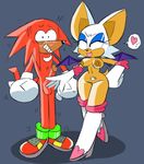  breasts knuckles_the_echidna penis rouge_the_bat sonic_(series) stimulation wispowillo 