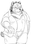  2024 anthro bear belly bottomwear clothed clothing hi_res hysk kemono male mammal moobs navel open_clothing open_shirt open_topwear overweight overweight_male shirt shorts simple_background solo topwear white_background 