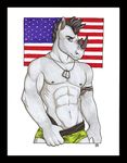  2014 abs anthro biceps biped black_border black_hair black_horn border boxer_briefs clothed clothing dog_tags eyebrows front_view green_bottomwear green_clothing green_underwear grey_eyes grey_nipples grey_skin hair half-length_portrait horn looking_at_viewer luthien_nightwolf male mammal marker_(artwork) max_woodley mohawk muscular muscular_male nipples pecs pepsi_(fa) portrait rhinoceros serratus short_hair signature simple_background snout solo standing stars_and_stripes tattoo topless traditional_media_(artwork) underwear united_states_of_america white_background 