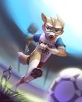  4_fingers 4_toes anthro black_nose blurred_background canine clothed clothing day detailed_background duo eyewear fifa goggles green_eyes koul male mammal mascot outside pawpads running sky standing toes zabivaka 