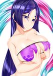  absurdres bikini breasts cleavage collarbone commentary_request covered_nipples eyepatch_bikini fate/grand_order fate_(series) highres large_breasts long_hair looking_at_viewer minamoto_no_raikou_(fate/grand_order) minamoto_no_raikou_(swimsuit_lancer)_(fate) navel purple_bikini purple_eyes purple_hair self_fondle smile solo swimsuit very_long_hair watosu 