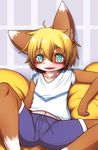  5_fingers anthro blonde_hair blue_eyes blush brown_fur canine clothed clothing fox fur hair hane looking_at_viewer male mammal open_mouth shirt shorts simple_background sitting solo t-shirt teenager white_fur young 
