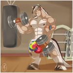  2015 aaron_(artist) abs anthro armband athletic backless_gloves biceps big_muscles biped black_hair black_hooves black_tail border brown_fur brown_nipples bulge clenched_teeth clothed clothing detailed_background digital_media_(artwork) draft_horse dumbbell equine erection erection_under_clothes exercise eyes_closed fingerless_gloves front_view fur gloves gym hair headphones hi_res holding_object hooves horse inside jockstrap long_tail male mammal manly motion_lines multicolored_fur multicolored_hair multicolored_tail muscular muscular_male nipples orange_clothing orange_gloves pecs penis penis_outline pepsi_(fa) portable_music_player pose punching_bag rainbow_bottomwear rainbow_clothing rainbow_underwear snout solo standing tan_fur teeth thick_penis topless two_tone_hair two_tone_tail underwear vein victor_jankowski weightlifting weights white_border white_fur white_hair white_tail workout 