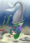  air_bubble blue_eyes blue_hair bubble diving_mask head_fins holding japanese_clothes kimono lying mermaid minigirl monster_girl multiple_girls obi on_head on_stomach person_on_head rock sash seaweed short_hair short_kimono shrimp snorkel submerged sukuna_shinmyoumaru touhou underwater wakasagihime yukimuro 