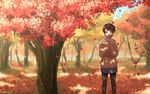  autumn_leaves bangs black_legwear blue_skirt brown_eyes brown_hair cardigan commentary covering_mouth falling_leaves forest holding holding_leaf leaf long_sleeves looking_at_viewer maple_leaf nature original outdoors pantyhose pleated_skirt pocket short_hair skirt solo standing tree tree_shade umiroku under_tree 