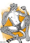  anthro balls bulge cheetah clothed clothing erection eyewear feline fur glasses kihu male mammal nipples penis simple_background solo spots spotted_fur 