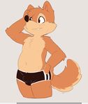  blush bulge clothing cub cute_fangs fur male mammal orange_fur seth-iova simple_background solo speedo standing sweat swimsuit wuffle young 