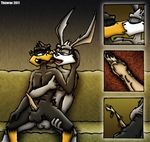  2011 ace_bunny anal anal_penetration anthro avian avian_penis balls beak bird blue_eyes cum cum_in_ass cum_inside danger_duck duck hand_on_chest internal kissing lagomorph loonatics_unleashed looney_tunes male male/male mammal nude penetration penis rabbit sex thizorac warner_brothers 