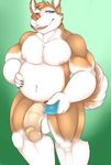  2016 anthro balls belly biceps biped blue_eyes brown_claws brown_fur brown_nose brown_tail canine cheek_tuft claws condom digital_media_(artwork) dog erection front_view fur glans gradient_background green_background half-closed_eyes hand_on_stomach head_tuft hi_res holding_condom holding_object humanoid_penis husky male mammal multicolored_fur multicolored_tail musclegut muscular muscular_male navel nipples nude pecs penis pepsi_(fa) pink_nipples pink_penis pink_tongue portrait quads simple_background smile snout solo standing teeth three-quarter_portrait tongue trent_whaley tuft two_tone_fur two_tone_tail wearing_condom white_balls white_belly white_fur white_tail xchiseaxmargaritax 