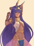  animal_ears arm_behind_back arms_up bangs blue_eyes blue_hair blunt_bangs breasts closed_mouth commentary cowboy_shot dark_skin egyptian_clothes expressionless eyebrows_visible_through_hair facial_mark fate/grand_order fate_(series) hair_tubes hand_behind_head jackal_ears jewelry lips loincloth long_hair looking_at_viewer medium_breasts navel neck_ring nitocris_(fate/grand_order) peroncho see-through shoulder_pads simple_background solo standing stomach two-tone_background very_long_hair waist_cape wrist_wrap yellow_background 