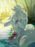  bamboo bath beads bridge canine censored claws erection fox gingitsune gintarou male mammal meditating muscular nature paws peaceful penis xuan_sirus_(artist) 