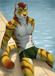  bulge clothing cute feline katarhein lion male mammal muscular pool_(disambiguation) solo summer swimming_trunks swimsuit tiger 