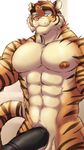  abs anthro balls biceps big_muscles big_penis black_penis blue_eyes dream_and_nightmare erection feline flaccid humanoid_penis male mammal muscular nipples nude pecs penis pink_nipples pink_nose smile solo thick_penis tiger 