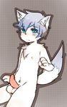  4_fingers balls blue_eyes blue_hair blush canine cub erection hair male mammal navel nipples penis pinknuss simple_background sitting solo tapering_penis wolf young 