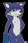  alpha_channel anthro bloodline_(webcomic) blue_fur breasts canine cub ember_(bloodline) female fur green_eyes hand_on_hip looking_at_viewer mammal pinup pose pussy simple_background small_breasts solo transparent_background young zekromlover 