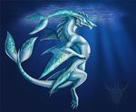  5_fingers anthro fin fish galidor-dragon hybrid marine nude shark solo underwater water 