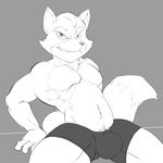  anthro athletic boxer_briefs bulge canine clothed clothing fox fox_mccloud fur greyscale grin hi_res jerseydevil looking_at_viewer male mammal monochrome muscular naughty_face navel nintendo pecs pubes reclining sitting smile solo star_fox teeth topless underwear video_games 