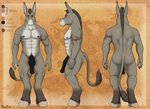  2016 5_fingers abs anatomically_correct anatomically_correct_penis animal_genitalia animal_penis anthro balls biceps biped black_balls black_nipples black_penis brown_eyes color_swatch countershade_torso countershading digital_media_(artwork) donkey ear_markings elbestia equine equine_penis eyebrows facial_markings front_view fur gabe_gannon grey_fur grey_hooves grey_mane grey_markings grey_tail hooves humanoid_hands inner_ear_fluff long_ears long_penis looking_at_viewer male mammal mane markings medial_ring model_sheet multicolored_fur multiple_angles muscular muscular_male nipples nude orange_background pecs penis pepsi_(fa) rear_view serratus side_view signature simple_background snout solo standing tail_tuft tattoo textured_background tuft white_countershading white_fur 