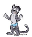  boxers_(clothing) bulge clothing feline fur grey_fur leopard male mammal simple_background snow_leopard solo standing underwear xylious 