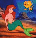  animated ariel disney flounder the_little_mermaid 