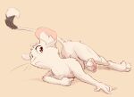 albino animancer dipodid domestic_cat felid feline felis fur hi_res jerboa luck_(animancer) mammal nude paws pink_eyes rodent white_body white_fur