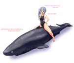  1girl absurdres arena_(company) barefoot black_swimsuit commentary_request competition_swimsuit flat_chest full_body greenland_shark grey_hair hands_on_hips highres kantai_collection kasumi_(kantai_collection) long_hair looking_at_viewer one-piece_swimsuit open_mouth riding shark side_ponytail simple_background swimsuit tennouji_masamichi upper_body white_background yellow_eyes 