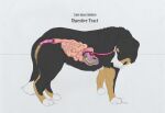 absurd_res alekthebeasty ambiguous_gender ambiguous_pred anthro anthro_prey anus bernese_mountain_dog biped black_body black_fur black_nose bodily_fluids breasts brown_body brown_eyes brown_fur bubble canid canine canis claws digitigrade dipstick_tail domestic_dog duo esophageal_sphincter esophagus facial_markings female female_prey feral feral_pred floppy_ears fur german_shepherd gloves_(marking) half-closed_eyes head_markings herding_dog hi_res inside_stomach internal larger_pred looking_pleasured macro mammal markings micro molosser mountain_dog multicolored_body multicolored_fur narrowed_eyes neck_tuft nude oral_vore organs partially_submerged pastoral_dog pyloric_sphincter quadruped side_view simple_background size_difference sphincter standing stomach stomach_acid swiss_mountain_dog tail tail_markings tan_body tan_fur text tuft vore white_background white_claws white_paws white_tail_tip