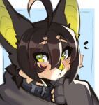 2025 ahoge anthro bat bat_nose black_collar black_hair blush cheek_tuft clothed clothing collar countershade_face countershade_fur countershading digital_media_(artwork) eyebrows eyelashes facial_tuft fur green_eyes green_inner_ear green_nose grey_clothing grey_hoodie grey_topwear hair hi_res hoodie icon looking_at_viewer male mammal mayrin_(artist) oversized_sleeves shaded simple_background solo tan_body tan_fur topwear tuft white_body white_countershading white_fur