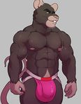  2016 abs anthro biceps biped black_fur buckteeth bulge clothed clothing digital_media_(artwork) eyebrows front_view fur green_eyes grey_background grey_fur grey_tail hi_res hunter_mapes jockstrap knuxlight looking_at_viewer male mammal multicolored_fur muscular muscular_male nipple_piercing nipples pecs pepsi_(fa) piercing pink_bottomwear pink_clothing pink_nipples pink_nose pink_underwear portrait rat rodent simple_background snout solo standing teeth three-quarter_portrait topless two_tone_fur underwear 