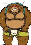 2017 anthro araiguma_11 backpack banjo-kazooie banjo_(banjo-kazooie) bear blush brown_fur bulge clothing fur kemono mammal shorts slightly_chubby solo underwear video_games 
