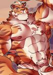 anthro asian_clothing clothing east_asian_clothing felid fundoshi hi_res japanese_clothing lin_hu male mammal nekojishi pantherine solo studio_klondike tehbluebubble tiger underwear