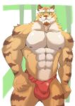 2025 5_fingers abs absurd_res anthro asian_clothing biped clothed clothing colored east_asian_clothing felid fingers fundoshi fundoshi_only green_eyes hi_res humanoid_hands japanese_clothing looking_at_viewer male mammal muscular muscular_anthro muscular_male muscular_thighs pantherine pecs red_clothing red_fundoshi red_underwear seiron_zex solo taketora_(yasha) thick_thighs tiger topless underwear underwear_only yasha:_legends_of_the_demon_blade