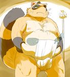  2017 anthro belly bulge clothing fundoshi hysk japanese_clothing kemono male mammal nipples simpre_background slightly_chubby solo tanuki underwear 