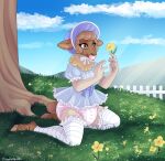 anthro blue_clothing blue_dress bonnet bovid caprine clothing diaper diaper_fetish dress female fence flower footwear frilly grass headgear headwear hi_res kneeling legwear mammal minettefraise object_in_mouth outside pacifier pacifier_in_mouth pattern_clothing pattern_footwear pattern_legwear pattern_socks picket_fence pink_diaper plant sheep sky socks solo striped_clothing striped_footwear striped_socks stripes tree white_clothing white_diaper white_fence white_footwear white_socks